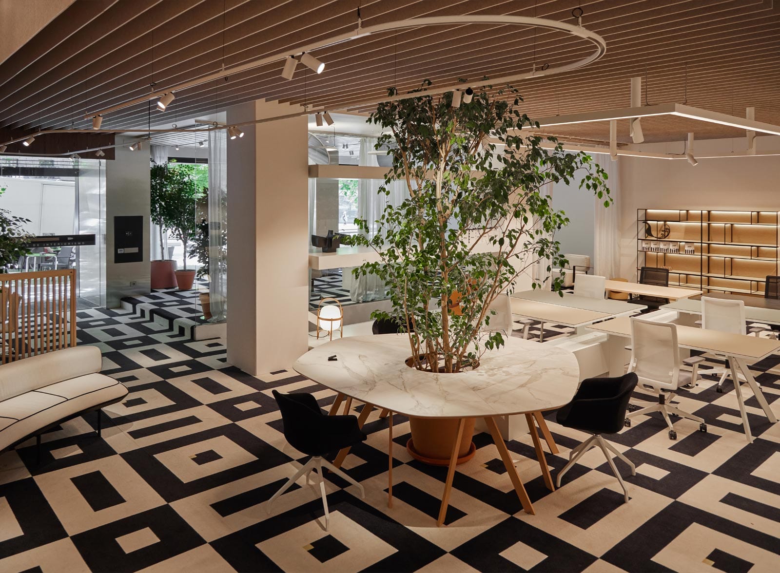 ShowroomJoseMartinezMedina06.jpg