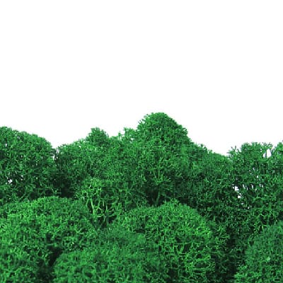 apple Green