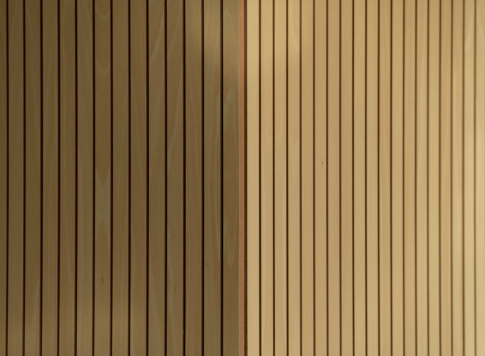 auditorio_almussafes5.jpg