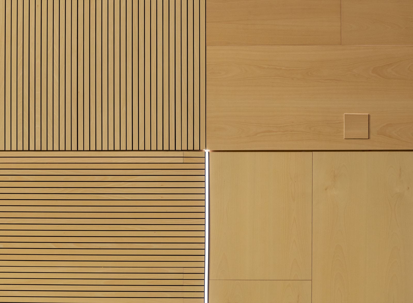 auditorio_almussafes6.jpg