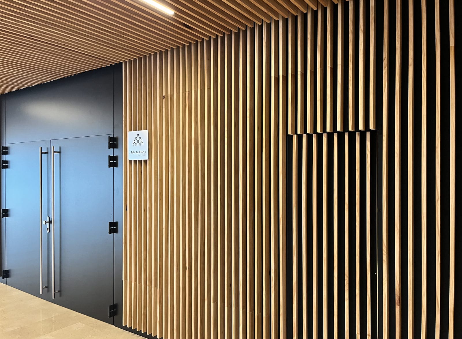 auditorioadeje05.jpg