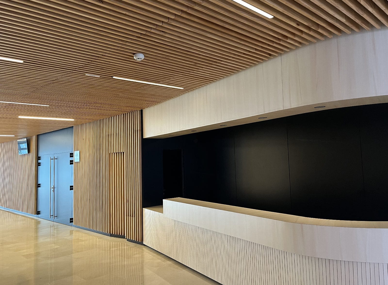 auditorioadeje06.jpg