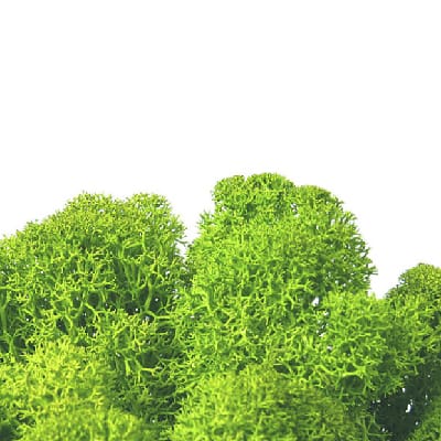 may Green
