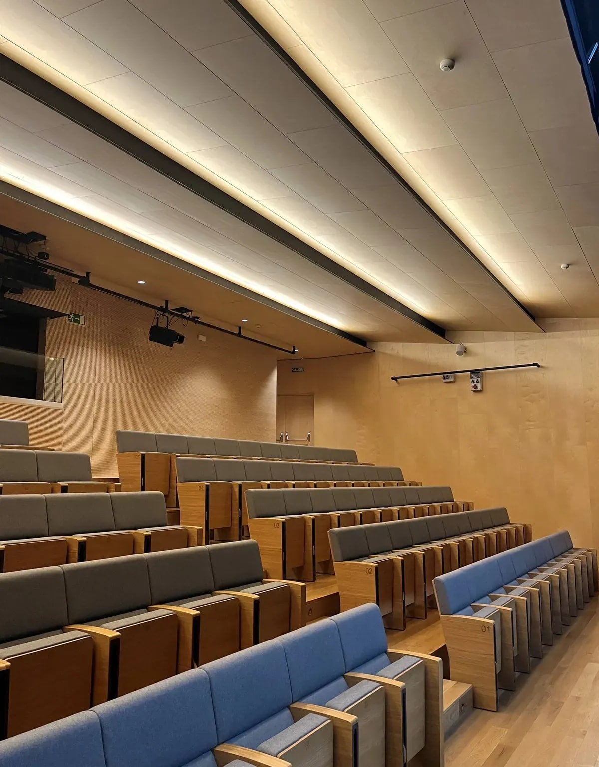 Techo acústico de madera con iluminación perimetral